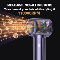 OEM ODM Multi-styler 5 en 1, moteur BLDC 110000 tr/min, ensemble sèche-cheveux, brosse à air chaud ionique, séchage rapide, interchangeable, usage domestique