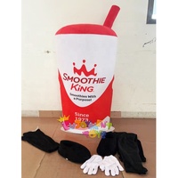 Costume de mascotte de personnage de dessin animé en peluche personnalisé professionnel pour smoothie, à vendre
