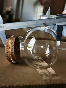 Terrarium en verre - Product Image 3