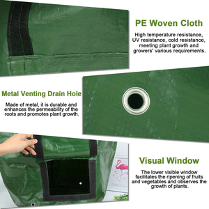 Bolsas de siembra de patatas para jardín, alta calidad, tejido de Pe, macetas para cultivo de setas verdes - Product Image 4
