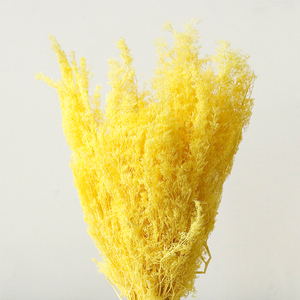Micro Paysage Arbres Arbustes DIY Cadre Photo Peinture Décoration Modèle Architectural Vie Éternelle Fleur Saint Valentin - Product Image 4
