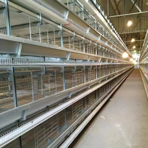 Jaula de batería tipo H de 3-12 niveles con sistema automático de recolección de huevos para gallinas ponedoras en equipos de granjas avícolas - Product Image 4