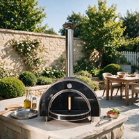 Four à pizza extérieur moderne en acier inoxydable grande capacité, équipement de cuisine extérieur avec poignée en bois pour fêtes dans la cour