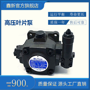 Variable Verdrängungslamellenpumpe HVP-30FA3 HVP-40-FA3 FA4 Hochdruck-Hydrauliksystem - Product Image 3