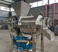 Commerciële Koude Pers Fruit En Groente Juicer Machine Restaurant Gebruikt Met Efficiënte Motor Kerncomponent