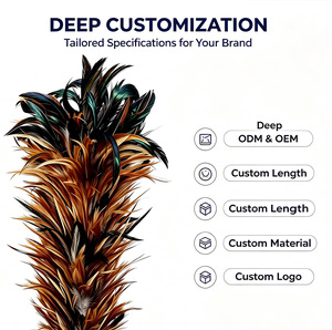 <span class=keywords><strong>Plumeau</strong></span> en Plumes Naturelles Véritables en Gros, Sans Perte de Plumes, Idéal pour le Nettoyage Quotidien de la Poussière à la Maison, au Magasin et dans la Voiture - Product Image 3