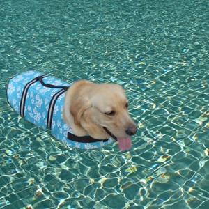 कस्टम लोगो क्लासिक कुत्ते जीवन जैकेट समायोज्य सुरक्षा चिंतनशील ग्रीष्मकालीन पॉलिएस्टर पैक ग्रीष्मकालीन कार्टन 100 पीसी के लिए ग्रीष्मकालीन कार्टन - Product Image 3