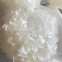 LUYI - Hoogwaardige grote hortensia's met grote bladeren, gedroogd, babyroze, paars, wit, groen, grote blauwe hortensia bloemen, geconserveerd