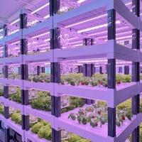 Système de jardin intérieur contrôlé par application avec lampes de culture Système de légumes grimpants hydroponiques