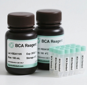 Kit de Análise de Proteína <span class=keywords><strong>BCA</strong></span> de Alta Sensibilidade |   Reagente para Detecção Quantitativa de Proteínas |   Suporte OEM - Product Image 1
