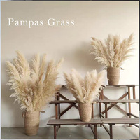 Herbe de la Pampa Naturelle Décorative – Série Très Demandée – Fleurs Séchées en Sac Plastique – Décoration du Nouvel An Chinois et de Pâques
