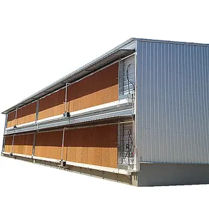 Prefab steel structure broiler chicken house poultry farm construction design