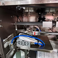 Machine d'emballage entièrement automatique pour sachets de thé non tissés avec étiquette à cordon, capable de remplir l'azote pour préserver la fraîcheur