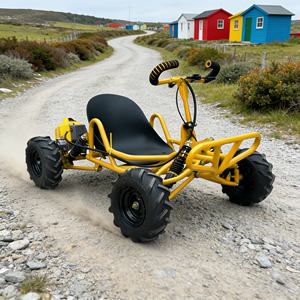 Go-Kart <span class=keywords><strong>Todoterreno</strong></span> a Precio Económico, Buggy para Dunas de Alto Rendimiento para Diversión al Aire Libre para Adultos - Product Image 1