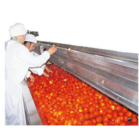 Fabriek Shanghai Turnkey Project Compleet Fruit Jam Chill Saus Maken Machine Ketchup Tomatenpuree Productielijn