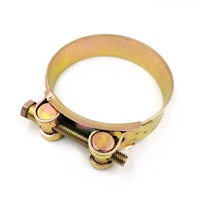 Collier de serrage robuste en acier inoxydable, acier au carbone zingué, type T, pour tuyaux, en pouces et en métrique