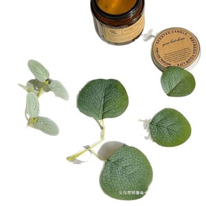 Feuille d'eucalyptus en mousse florale, fleur en soie de 16 cm pour la décoration de pinces à cheveux et l'artisanat - Product Image 5