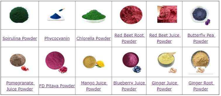 Factory Price Best Quality Plant Extract  Mango Fruit Powder