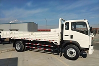 Nouveau camion de bonne qualité Petit camion Camion 10 tonnes Sinotruk Howo 4x2 Camion cargo léger