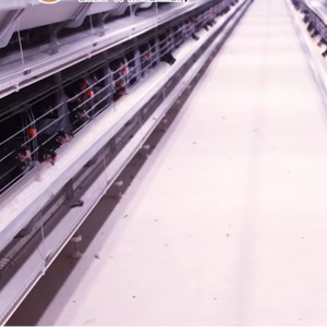 Nuove Gabbie a Batteria Automatiche Tipo H Zhuo Yi per Galline Ovaiole ad Alta Produttività - Ottimo Prezzo - Product Image 1