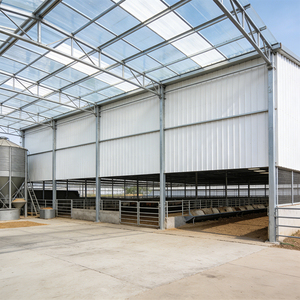 Gallinero Comercial de Diseño Moderno, Estructura de Acero Económica, Nave para Granja Avícola en Venta - Product Image 3