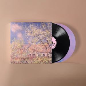 7 10 12 pouces Lp disque de musique personnalisé tourne-disque vinyle pressage de disque vinyle - Product Image 3