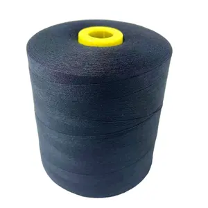 Naaigaren 100% Polyester Spoelen 40/2 8000 Yard Spoelen Overlock Kegel Voor Hand Machine