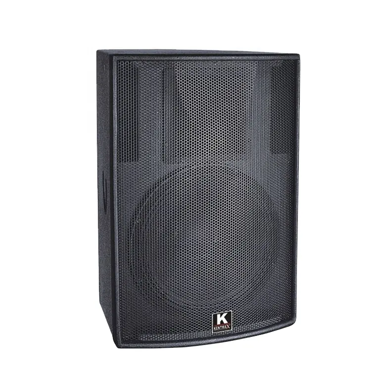 High Grade Factory Direct 10" 250W Music Speaker 5.1 High End Speaker