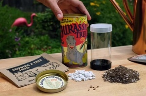 Kit di pacchetti di lusso <span class=keywords><strong>giapponese</strong></span> per la scrofa <span class=keywords><strong>Bonsai</strong></span> in fibra di <span class=keywords><strong>vendita</strong></span> calda a misura di pavimento con Brillante e bouganville per uso domestico/giardino - Product Image 2