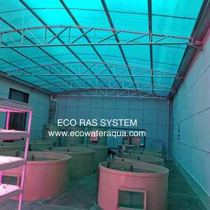ECO เครื่องจักรการเกษตร/สถานรับเลี้ยงเด็ก/โรงเพาะฟัก/เติบโตออกจากระบบ Ras - Product Image 6