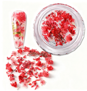 <span class=keywords><strong>Flores</strong></span> <span class=keywords><strong>Secas</strong></span> <span class=keywords><strong>en</strong></span> 1 Frasco para Manualidades con Resina, Arte de <span class=keywords><strong>Uñas</strong></span>, Mezcla de <span class=keywords><strong>Flores</strong></span> Pequeñas y Mini, Adornos para <span class=keywords><strong>Uñas</strong></span>, Accesorios de Verano para <span class=keywords><strong>Uñas</strong></span> - Product Image 4