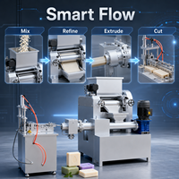 Machine à savon à lessive à petite échelle, capacité de 20 à 200 kg/h, pour production à domicile, faible investissement, rendement élevé sur l'investissement