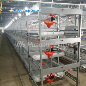 Jaula para <span class=keywords><strong>Pollos</strong></span> Tipo H, Sistema Automático <span class=keywords><strong>de</strong></span> Plataforma Plana Resistente para la Prevención <span class=keywords><strong>de</strong></span> Lesiones, Acero Galvanizado en Caliente, Bajo Mantenimiento - Product Image 5