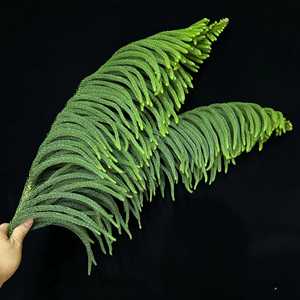 Ramas Frescas de <span class=keywords><strong>Araucaria</strong></span> Niloticosa para Decoración Floral de Bodas y Navidad, Planta Acuática Verde Fresca para el Festival de Primavera - Product Image 5