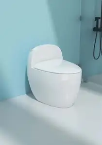Medyag uzatılmış fildişi renkli tek parça tuvalet porselen 300mm OEM çift gömme banyo Sanitarios dolap