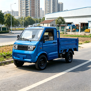Camioneta Eléctrica de Cabina Cerrada con Certificación EEC, Motor de 72V 3500W, Cámara de Reversa, Elevación Automática de Ventanas, Radio AM/FM, Mini Pickup - Product Image 1