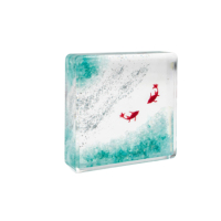 DIY Faits à la main 58mm Ornement de décoration intérieure Cubes de résine transparente Coquillages marins Presse-papiers en acrylique
