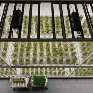 Sistema de drenaje de mesa de cultivo Vertical moderno de 3 niveles para agricultura con bandeja de agua y luz para estante de cultivo de Agricultura de interior