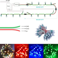 Module LED numérique adressable WS2811 2811 IC RGB pleine couleur 12 mm, 5V 12V, couleur de rêve, étanche IP68