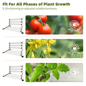 Samsung Diodos Full Spectrum Grow Light Samsung <span class=keywords><strong>Uv</strong></span> Ir Red 150W 240W 300W 450W Invernadero <span class=keywords><strong>Led</strong></span> Grow Light - Product Image 2