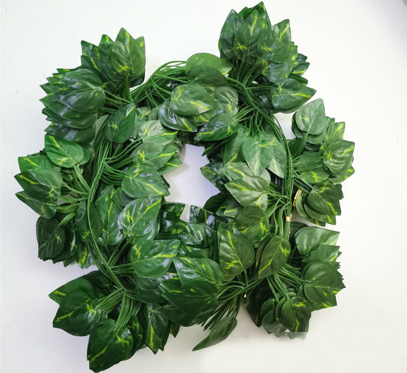 Green Rose 72 leaves