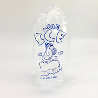 Sacs à glace réutilisables en PE de qualité alimentaire, robustes et personnalisés, avec cordon de serrage, impression en gravure, logo, certifiés ISO9001, épaisseur personnalisée