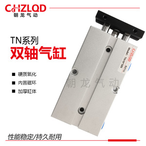 Cilindro de Doble Varilla Serie Chzlod Tn de 500 mm con Imán, Tipo Estándar - Product Image 1