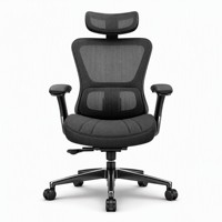 Chaise de bureau ergonomique de direction à dossier haut en maille pivotante avec support lombaire et accoudoirs 4D pour le bureau
