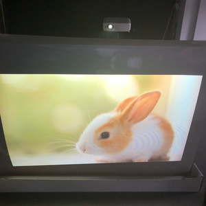 Màn Hình Sân Khấu Ba Chiều 3D Ngoài Trời/Trong Nhà Mới Cho Phòng Triển Lãm Phim Chiếu Hậu 3D Bảo Tàng Quảng Cáo Ảnh Toàn Ký - Product Image 3