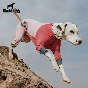 ब्लैकडोगी डिजाइनर साकुरा गुलाबी कुत्ते के कपड़े ऑल-राउंड कूलिंग पॉलिएस्टर खेल सूट - Product Image 1