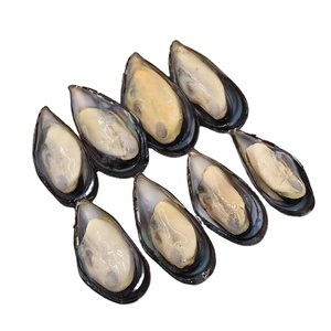 Cozza congelata mezza conchiglia congelata - Product Image 1