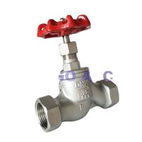 Vanne de retenue haute pression en acier inoxydable 304 de haute qualité, type J11W-16P/25P, type soviétique DN40-DN50 mm, filetage femelle de type S