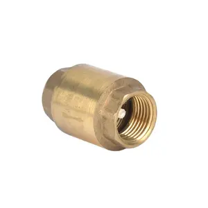 Widely Used Brass Spring Check Valve 1/2 To 2" Size Custom Weight Brass Body Plastic Core Vertical Check Valve Non-return Valve