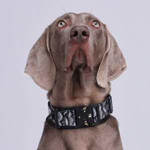 Nhiệm Vụ Nặng Nề Kim Loại Khóa Với Xử Lý Các Bản Vá Lỗi Cho Trung Bình Và Lớn Chó Cơ Bản Nylon Chiến Thuật Con Chó Cổ Áo Phản Quang Đào Tạo Cổ Áo - Product Image 1